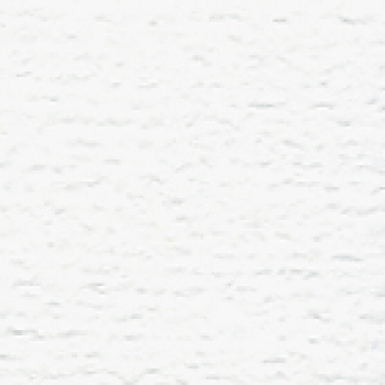 Bazzill Orange Peel CS " White /OP "